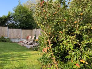 Garden- click for photo gallery